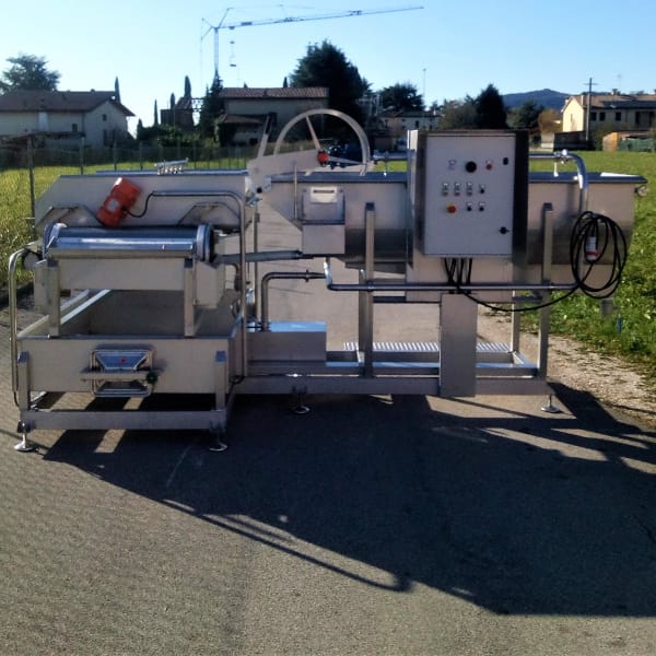 Washing system for ready to eat fruit and vegetable